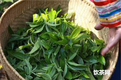 熟茶有糯米味，熟茶有米湯感