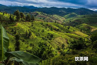 昭通普洱渡：交通指南、旅游景點(diǎn)、住宿推薦等全方位信息解析