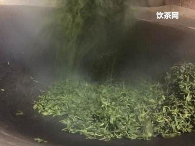 武夷山大紅袍細(xì)品香茗_武夷名茶大紅袍價格