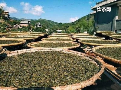 楊聘號(hào)熟茶價(jià)格表