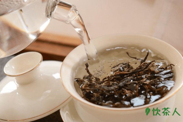 普洱茶怎么泡才正確，普洱茶的沖泡方法(五大竅門必知)