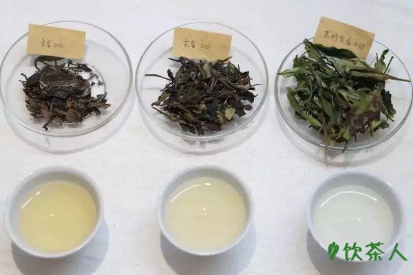 白茶泡出來(lái)是什么顏色最好，黃綠色或琥珀色(由茶葉種類決定)