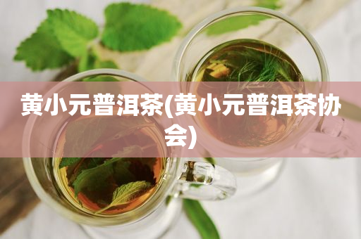 黃小元普洱茶(黃小元普洱茶協(xié)會)