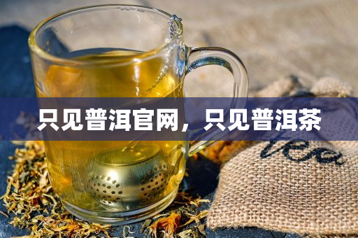 只見(jiàn)普洱官網(wǎng)，只見(jiàn)普洱茶