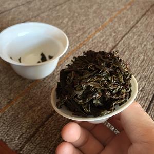 茶葉做青圖片大全