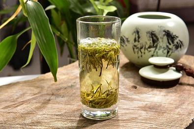 普洱茶千年古樹(shù)