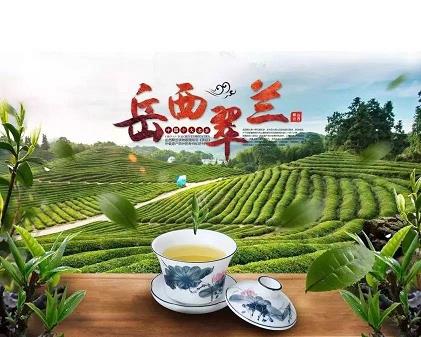 熟普洱茶怎樣保存