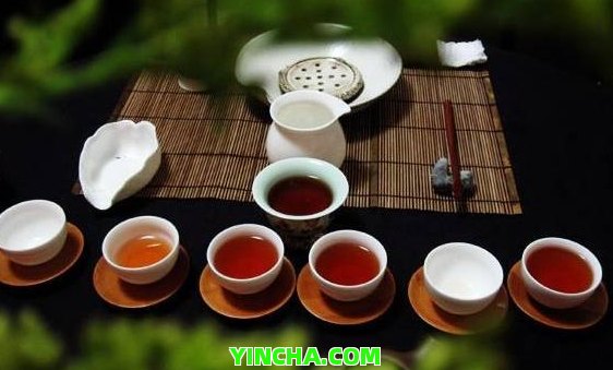 普洱古樹茶樹齡：千年品種及具體年限揭秘