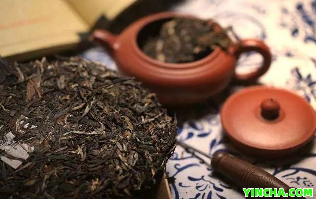 歷屆茶博會金獎普洱茶品種揭曉：一份不容錯過的獲獎名單