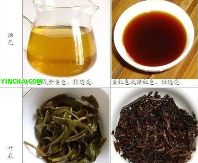 如何在眾多中挑選性?xún)r(jià)比高的熟普洱茶？