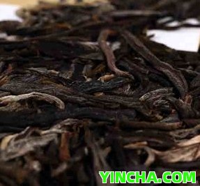 西雙版納大佛普洱茶龍園號：探索高品質普洱茶的秘密與魅力