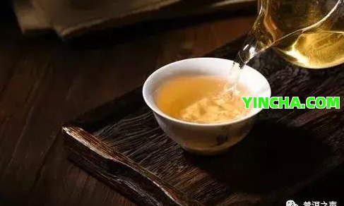 探索林：普洱茶的寶藏之地還是未知領(lǐng)域？