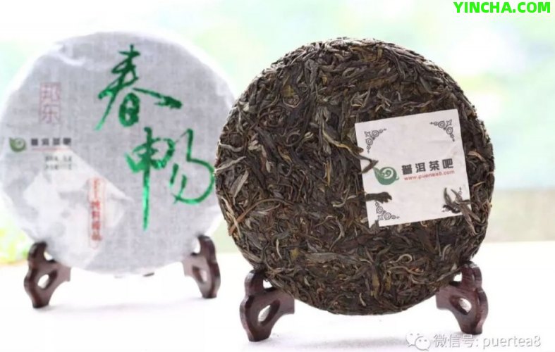 小青柑普洱茶沖泡方法：連皮一起泡還是單獨(dú)泡？