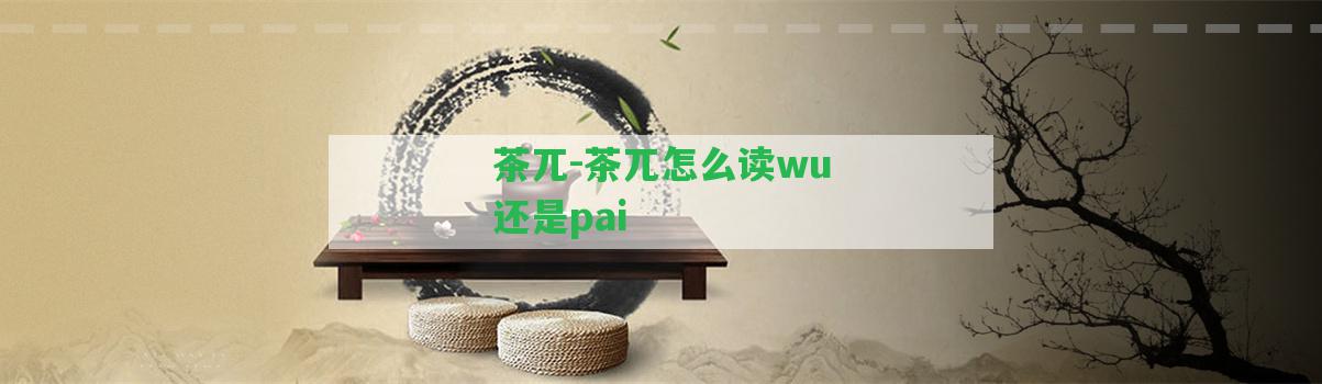 茶兀-茶兀怎么讀wu還是pai