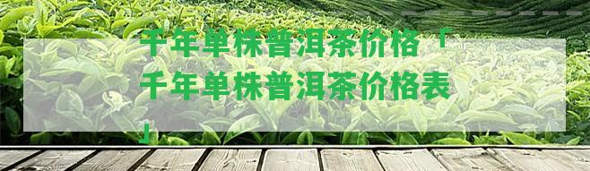 千年單株普洱茶價格「千年單株普洱茶價格表」