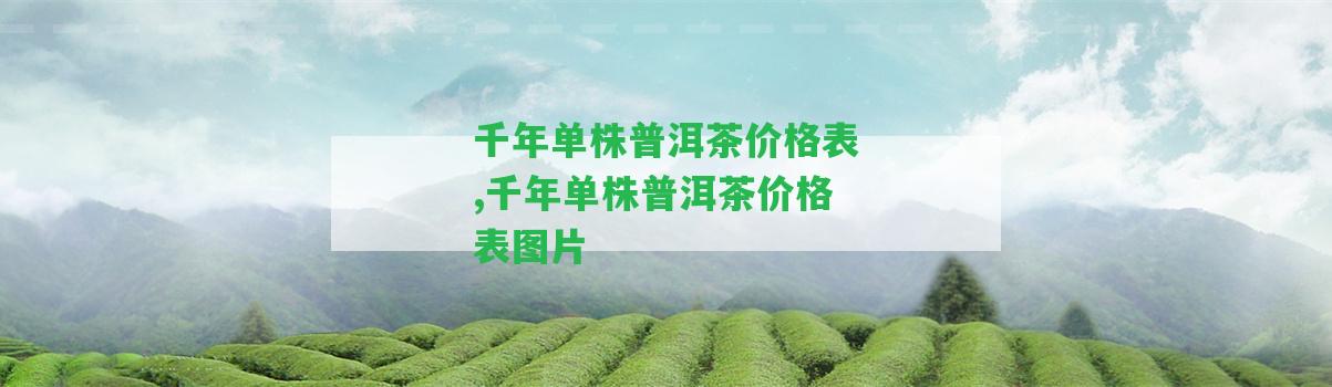 千年單株普洱茶價格表,千年單株普洱茶價格表圖片