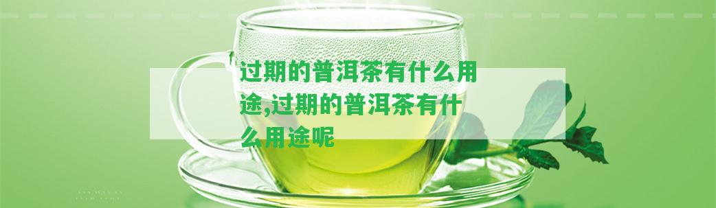 過期的普洱茶有什么用途,過期的普洱茶有什么用途呢