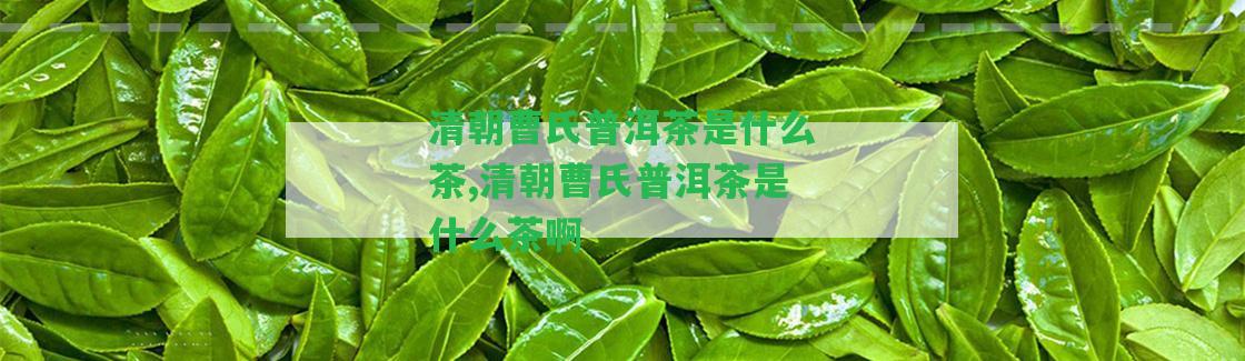 清朝曹氏普洱茶是什么茶,清朝曹氏普洱茶是什么茶啊