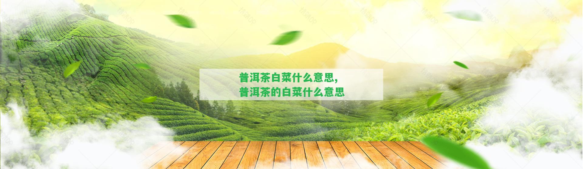 普洱茶白菜什么意思,普洱茶的白菜什么意思