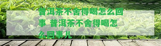 普洱茶不舍得喝怎么回事 普洱茶不舍得喝怎么回事兒