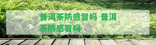 普洱茶防感冒嗎 普洱茶防感冒嗎