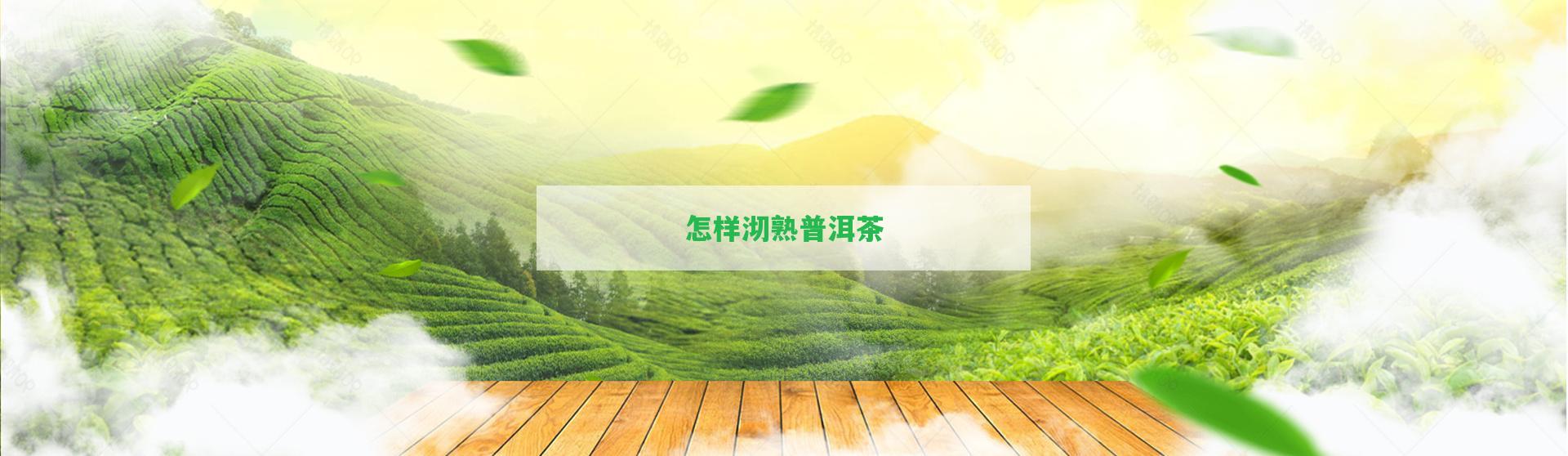 怎樣沏熟普洱茶