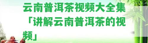 云南普洱茶視頻大全集「講解云南普洱茶的視頻」