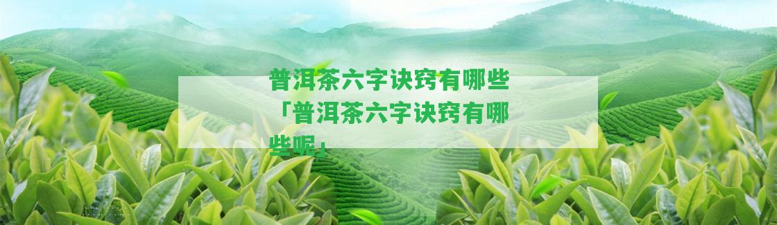 普洱茶六字訣竅有哪些「普洱茶六字訣竅有哪些呢」