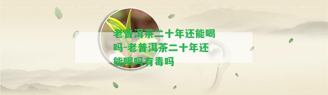 老普洱茶二十年還能喝嗎-老普洱茶二十年還能喝嗎有毒嗎