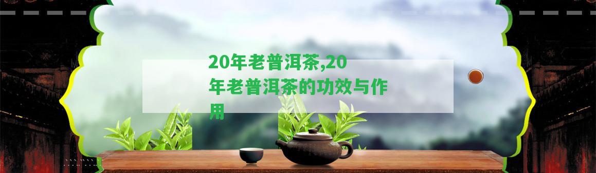 20年老普洱茶,20年老普洱茶的功效與作用