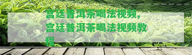 宮廷普洱茶喝法視頻,宮廷普洱茶喝法視頻教程