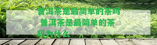 普洱茶是最簡(jiǎn)單的茶嗎 普洱茶是最簡(jiǎn)單的茶嗎為什么