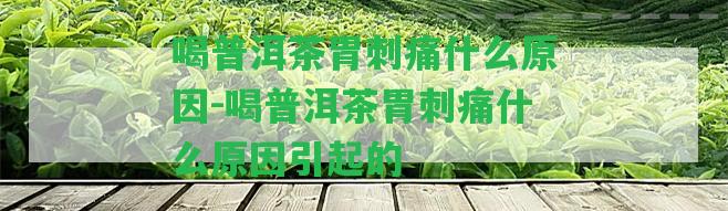 喝普洱茶胃刺痛什么起因-喝普洱茶胃刺痛什么起因引起的