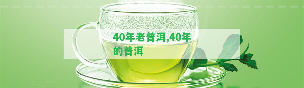 40年老普洱,40年的普洱