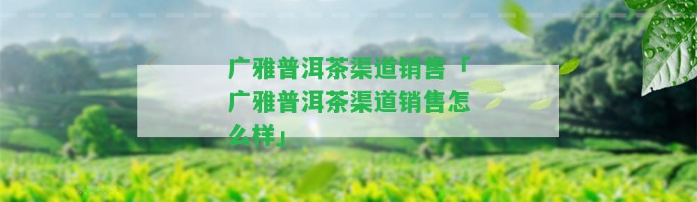 廣雅普洱茶渠道銷售「廣雅普洱茶渠道銷售怎么樣」