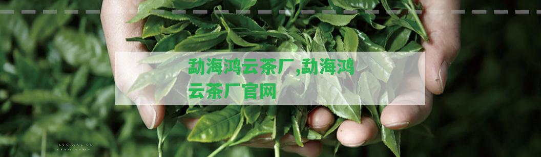 勐海鴻云茶廠,勐海鴻云茶廠官網(wǎng)