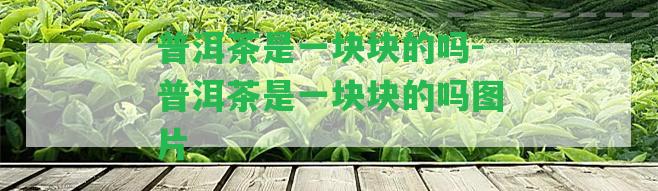 普洱茶是一塊塊的嗎-普洱茶是一塊塊的嗎圖片