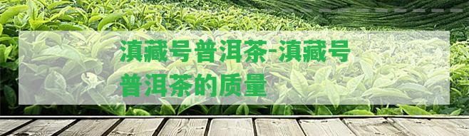 滇藏號(hào)普洱茶-滇藏號(hào)普洱茶的品質(zhì)