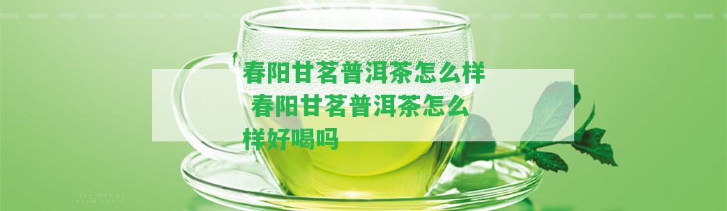 春陽(yáng)甘茗普洱茶怎么樣 春陽(yáng)甘茗普洱茶怎么樣好喝嗎