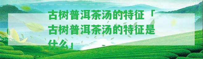 古樹普洱茶湯的特征「古樹普洱茶湯的特征是什么」