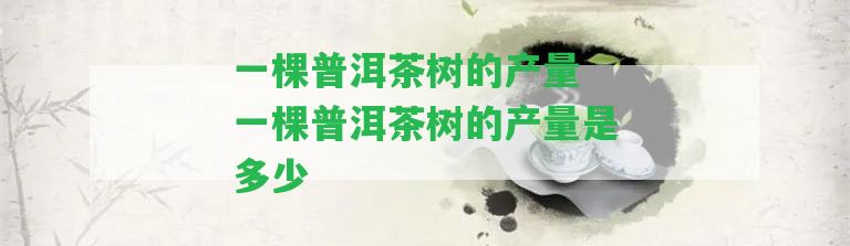 一棵普洱茶樹的產(chǎn)量 一棵普洱茶樹的產(chǎn)量是多少