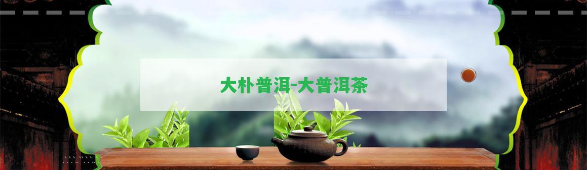 大樸普洱-大普洱茶