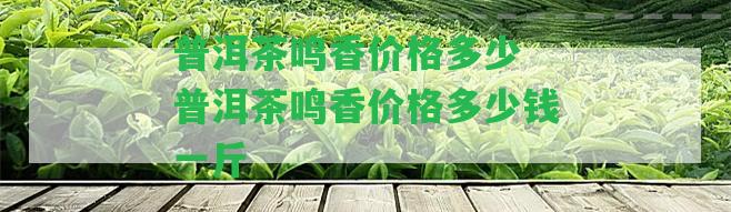 普洱茶鳴香價格多少 普洱茶鳴香價格多少錢一斤