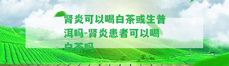 腎炎可以喝白茶或生普洱嗎-腎炎患者可以喝白茶嗎