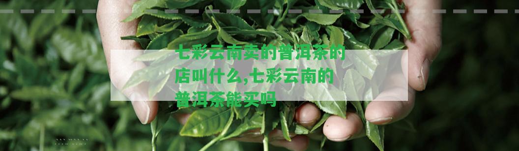 七彩云南賣的普洱茶的店叫什么,七彩云南的普洱茶能買嗎