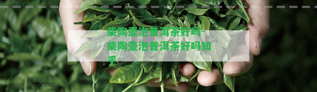 柴陶壺泡普洱茶好嗎-柴陶壺泡普洱茶好嗎知乎