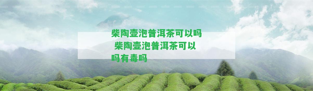 柴陶壺泡普洱茶可以嗎 柴陶壺泡普洱茶可以嗎有毒嗎