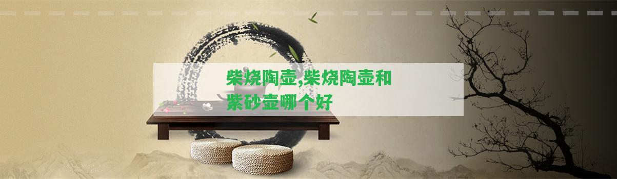 柴燒陶壺,柴燒陶壺和紫砂壺哪個(gè)好