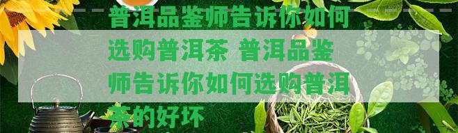 普洱品鑒師告訴你怎樣選購(gòu)普洱茶 普洱品鑒師告訴你怎樣選購(gòu)普洱茶的好壞