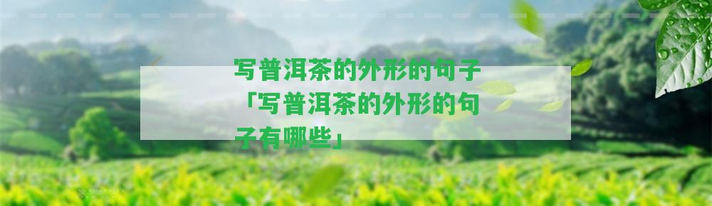 寫普洱茶的外形的句子「寫普洱茶的外形的句子有哪些」